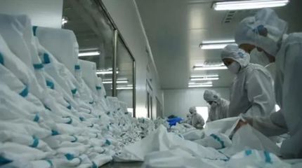 枣庄市市中区党建引领 优化服务 做好企业复产用工保障