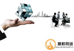 凤软网络 专业外贸网站建设与企业咨询服务