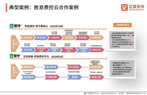 2021上半年中国费控报销行业标杆企业分析——胜意科技企业咨询服务