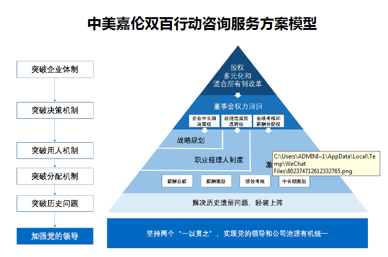 中美嘉伦“双百行动”国企改革咨询服务产品手册