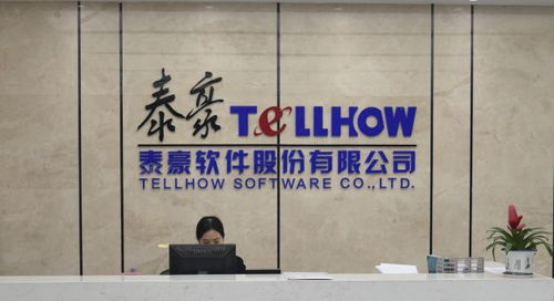 泰豪软件 引领全国服务外包能源行业的领军企业