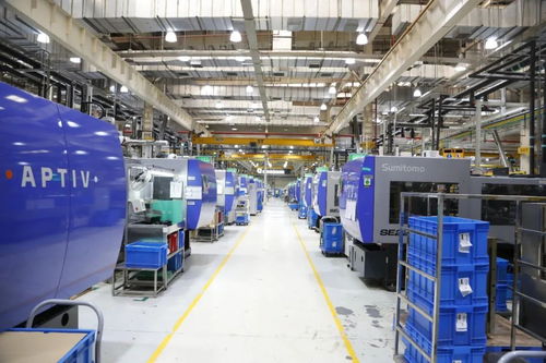 嘉定智能工厂再升级 六万平米蓝图下的企业咨询服务新篇章